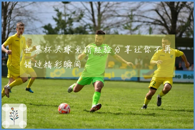 世界杯买球竞猜经验分享让你不再错过精彩瞬间