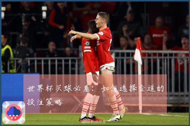 世界杯买球必看：如何选择合适的投注策略