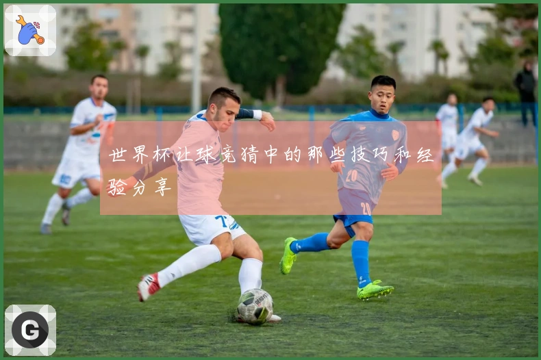 世界杯让球竞猜中的那些技巧和经验分享