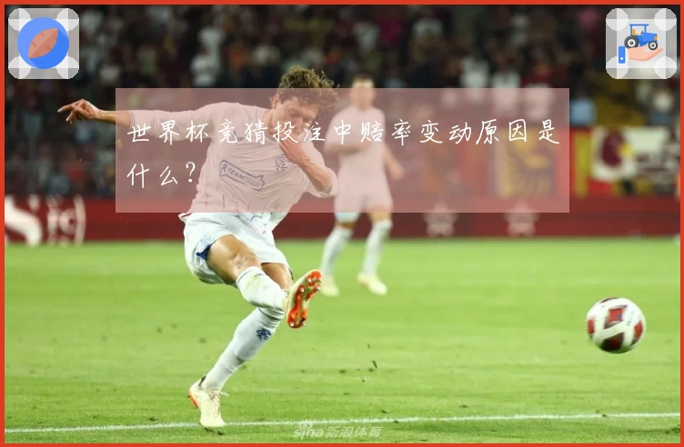 世界杯竞猜投注中赔率变动原因是什么？