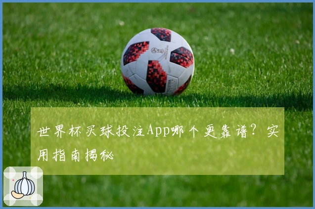 世界杯买球投注App哪个更靠谱？实用指南揭秘