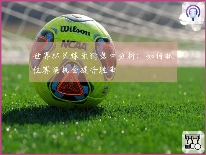 世界杯买球竞猜盘口分析：如何抓住赛场机会提升胜率